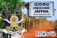 வலி வடக்கில் இராணுவ தேவைக்காக சுவீகரிக்கப்படவுள்ள காணிகள் : வெளியான தகவல்