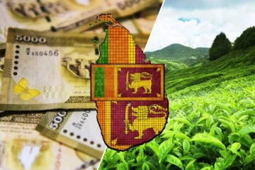இலங்கைக்கு ஐம்பதாயிரம் கோடிக்கு மேல் இழப்பு: வெளியான காரணம்