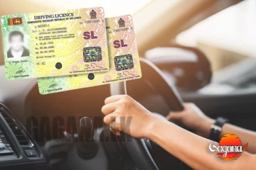 මේ ලයිසන්වල ගාණ වැඩි කරන්න තීරණයක්