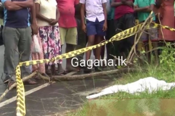 පාසලක් අසලින් විසිකර ගිය අභිරහස් මළසිරුරක් හමුවෙයි..