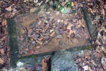 தமிழர்களின் பூர்வீக பூமி! இலங்கையில் மண்ணுக்குள் புதைந்து கிடக்கும் சாட்சியங்கள்