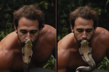 viral video: ராஜ நாகத்தை முத்தமிட்டு நெகிழச் செய்த நபர்... பகீர் கிளப்பும் காட்சி