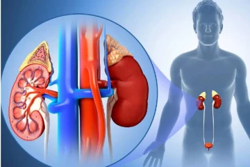 இந்த அறிகுறிகள் இங்க இருக்கா? சிறுநீரக பிரச்சனையாக இருக்கலாம்