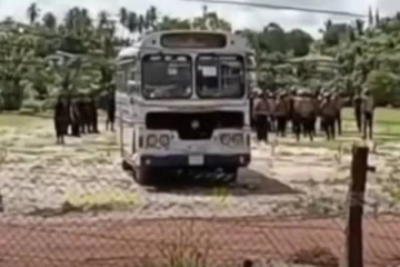 போராட்டகாரர்கள் மீது தாக்குதல் நடத்த இராணுவ முகாமில் பயிற்சி
