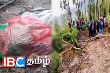 விறகு சேகரிக்க சென்ற இளம் குடும்பஸ்தருக்கு நேர்ந்த துயரம்