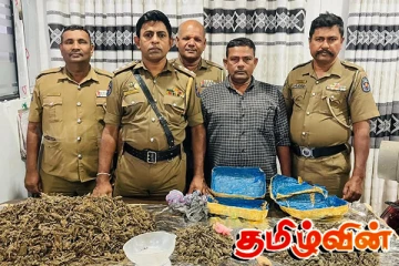 போதைப்பொருள் குற்றச்சாட்டில் வசமாக சிக்கிய ஒரே குடும்பத்தை சேர்ந்த மூவர்