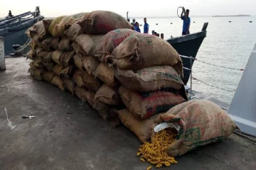 இந்தியாவிலிருந்து மஞ்சள் மூடைகளை கடத்தி வந்த மூவர் சிக்கினர்