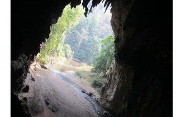 தங்கமாகும் மூலிகை.. ஒரு முறை சென்றாலும் உயிருடன் திரும்ப முடியாத மர்ம குகை