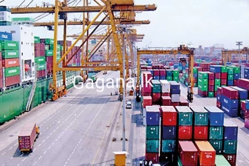 ආනයන සීමා ඉවත් කළ භාණ්ඩ 300 යේ ලැයිස්තුව මෙතනින් බලන්න..