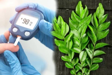 உடலின் இரத்த சர்க்கரை அளவை குறைக்க இந்த ஒரு இலை போதும்: என்ன தெரியுமா?