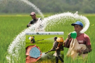 රසායකික පොරො සියලු ගොවීන්ට දෙන්න යයි..රටටම සුබ පණිවුඩයක්..