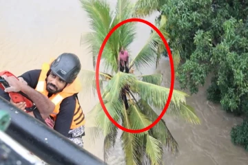 உயிரை காக்க மரத்திலேறிய நபர்; ஒரு நாள் முழுவதும் தவிப்பு