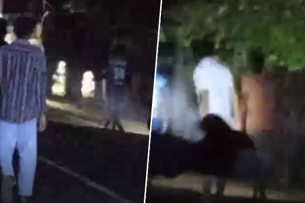 குச்சவெளியில் ஊருக்குள் புகுந்த காட்டு யானையால் பரபரப்பு | Wild Elephant Enters Village In Kuchavali
