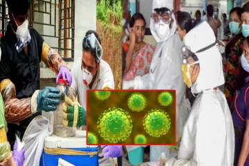 கேரளாவில் வேகமெடுக்கும் நிபா வைரஸ்; 6 பேர் பாதிப்பு - பள்ளி, கல்லூரிகளுக்கு விடுமுறை!