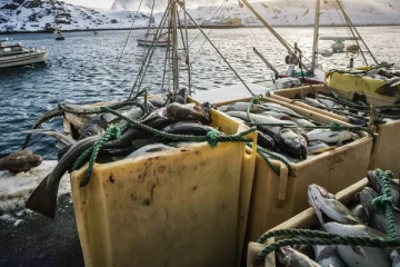 பிரித்தானியர்களின் விருப்ப உணவொன்றிற்கு புடினால் வரவிருக்கும் ஆபத்து...