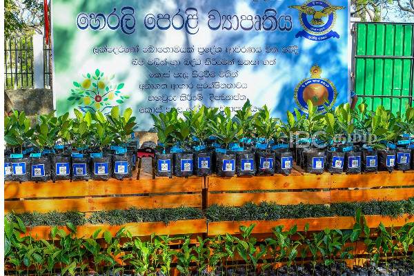 இலங்கையில் பலாப்பழத்தை ஊக்குவிக்க புதிய முயற்சி | New Initiative To Promote Jackfruit In Sri Lanka
