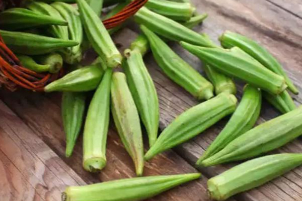 பலாப்பழத்துடன்  இதை எல்லாம் உண்ணாதீர்கள்;காத்திருக்கும் ஆபத்து | Dont Eat It All With Jackfruit