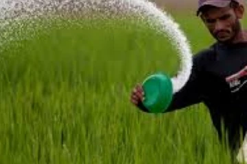 පොහොර ගැන අවසන් තීරණය..