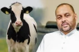 மாடுகளை திருடினால் 10 லட்சம் அபராதம்: விவசாய அமைச்சர் அதிரடி