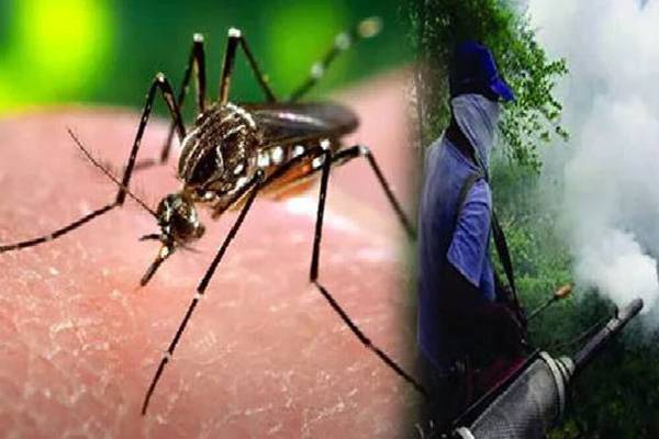 கிண்ணியாவில் ஆபத்தாக மாறும் டெங்கு: வழங்கப்பட்டுள்ள முக்கிய அறிவுறுத்தல் | Dengue Becoming Dangerous In Keniyaa கிண்ணியாவில் ஆபத்தாக மாறும் டெங்கு: வழங்கப்பட்டுள்ள முக்கிய அறிவுறுத்தல் | Dengue Becoming Dangerous In Keniyaa