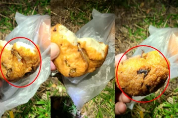 முட்டை ரொட்டியில் இரும்புக் கம்பி துண்டு ; வடையில் வெட்டுக்கிளி; வாடிக்கையாளர் அதிர்ச்சி!