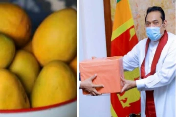 “மாம்பழ இராஜதந்திரம்”- வெளிநாடொன்றிலிருந்து மகிந்தவுக்கு வந்த மாம்பழங்கள்