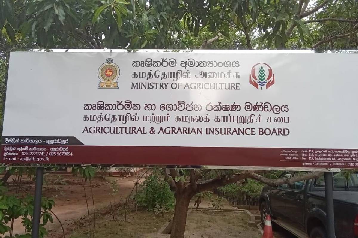 பாதிக்கப்பட்ட விவசாய நிலங்களுக்கு இழப்பீடு : பிரதி அமைச்சர் அறிவிப்பு | Compensation For Affected Agricultural Lands பாதிக்கப்பட்ட விவசாய நிலங்களுக்கு இழப்பீடு : பிரதி அமைச்சர் அறிவிப்பு | Compensation For Affected Agricultural Lands