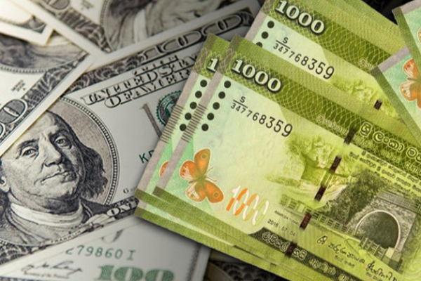 ரூபாயின் பெறுமதி குறித்து மத்திய வங்கி வெளியிட்டுள்ள தகவல் | Dollar To Sri Lankan Rupees Central Bank Report