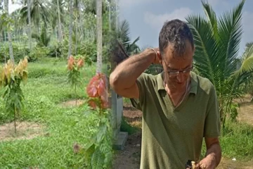 வெளிநாட்டவரை வியக்க வைத்த தமிழர் பகுதியின் கறுவா செய்கை