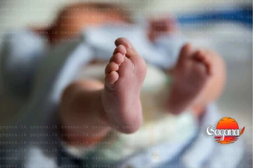 දෙවියනේ දින දහනමයක් වයස කිරි කැටියා ළිඳට වැටිලා - උපාධිධාරී මව අත්අඩංගුවට