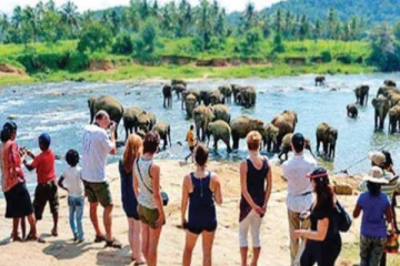 இலங்கைக்கு படையெடுக்கும் சுற்றுலா பயணிகள்