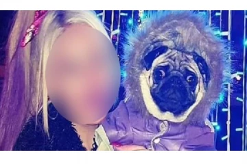 ஆசையாக வளர்த்த நாய்.. உரிமையாளரை கொன்று உடலை சாப்பிட்ட கொடூரம்- பகீர் பின்னணி!