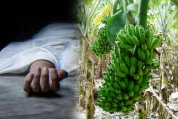 கொலையில் முடிந்த வாழைக்குலை பிரச்சனை!