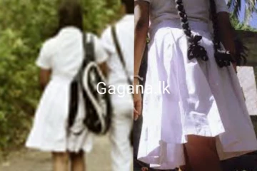 13 හැවිරිදි පාසල් සිසුවිය කැලෑවට රැගෙන ගිය 15 හැවිරිදි සිසුන් 04 දෙනා කළ අපරාධය..