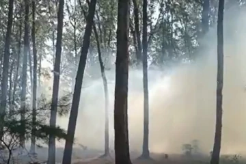 மட்டக்களப்பு குருக்கள் மடத்தில் திடீர் தீப்பரவல் - செய்திகளின் தொகுப்பு