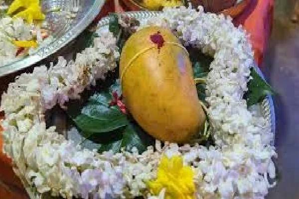 யாழ். முருகையா தேவஸ்தான திருவிழாவில் ஏலத்தில் பத்து லட்சம் ரூபாய்க்கு மாம்பழம் | Surprising Incidet Jaffna Mango Ten Million Rupees