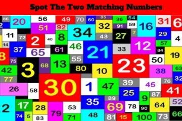 Optical illusion: ஒரே மாதிரியான இலக்கங்கள் எங்கே உள்ளது?