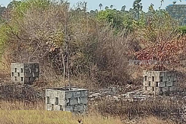 யாழில் விசமிகளின் மோசமான செயல்: தீயில் கருகிய மரக் கன்றுகள்! | Saplings Destroyed By Fire In An Area Of Jaffna