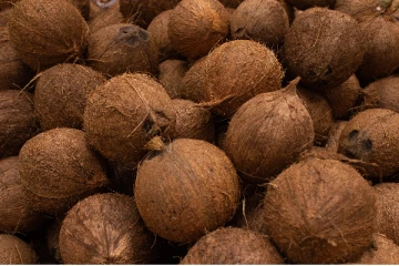 தேங்காய் விலை தொடர்பில் வெளியான தகவல்