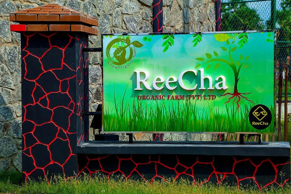 பலரின் திறமைகளை வெளிக்கொணர்ந்த Reecha Organic Farm! சுற்றிப்பார்க்கலாம் வாங்க (Video) | Reecha Organic Farm Brings Out The Talents Of Many