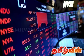 கொழும்பு பங்குச்சந்தையில் உயர்வு