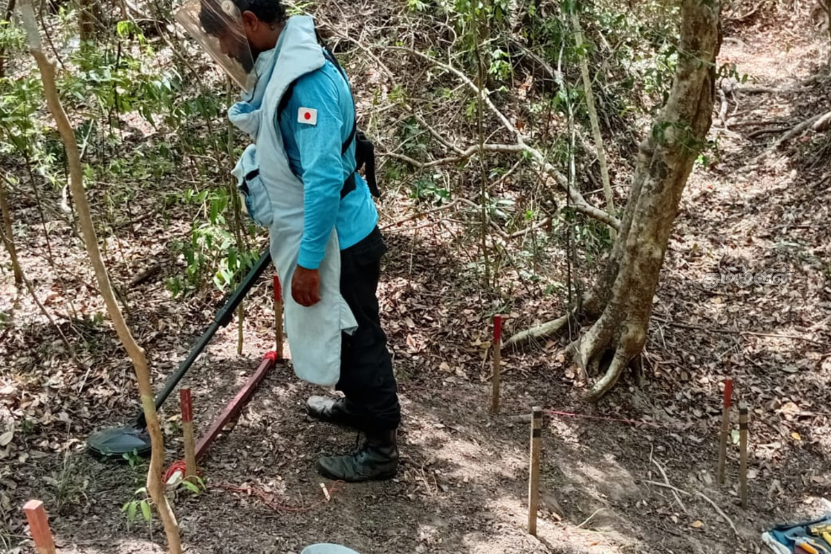 வடக்கில் 10 ஆண்டுகளில் 86302 அபாயகரமான வெடிபொருட்கள் அகற்றல் | Hazardous Explosives Cleared Northern Province வடக்கில் 10 ஆண்டுகளில் 86302 அபாயகரமான வெடிபொருட்கள் அகற்றல் | Hazardous Explosives Cleared Northern Province