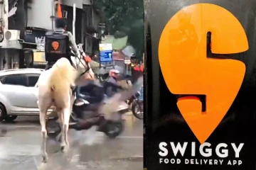 குதிரையில் சென்ற Swiggy டெலிவரி மேன்.! தகவல் தருபவர்களுக்கு வெகுமதி
