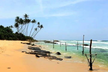 யாழ். பருத்தித்துறையில் காண்போரை அதிசயத்தில் ஆழ்த்திய சம்பவம்!