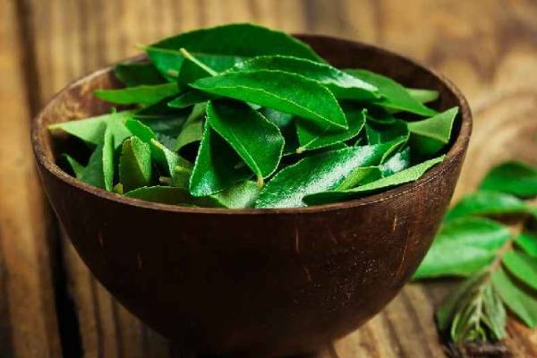 காலையில் கறிவேப்பிலை போட்டு 1 டம்ளர் தண்ணீர் குடித்தால் என்ன நடக்கும்? | Drinking Curry Leaf Water Benefits In Tamil