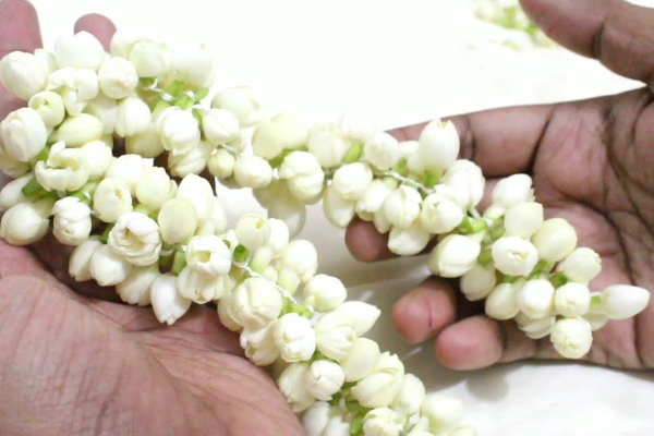 வரவை விட செலவுகள் அதிகரிக்கின்றதா? இந்த ஒரு சின்ன பரிகாரத்தை செய்தால் போதும்; நீங்கள் குபேரர் தான்! | Are Expenses Increasing More Than Income