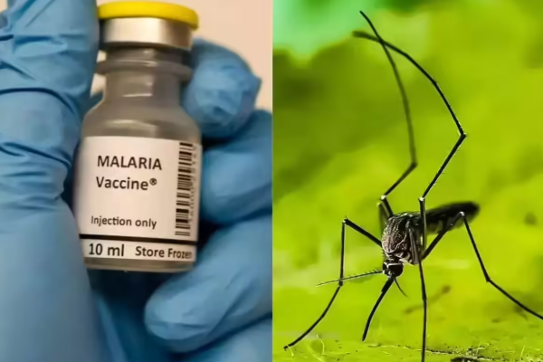 வெளிநாட்டவர்களால் இலங்கையில் அதிகரிக்கும் மலேரியா | Malaria Is Increasing In Sri Lanka Due Foreigners