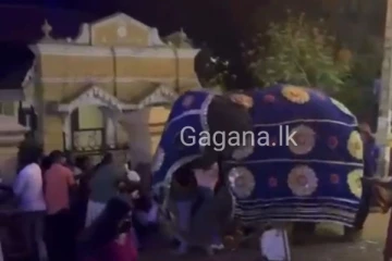 දෙවිනුවර රන්දෝලි මහ පෙරහරේ අලි කුලප්පුවක්..මහ රෑ සිදු වූ දේ.(VIDEO)