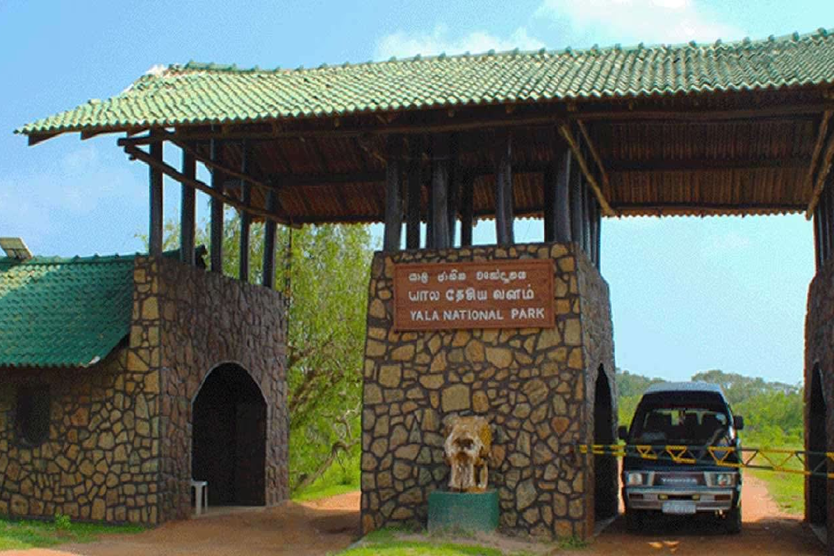 இன்று முதல் மூடப்படும் யால தேசிய வனத்தின் 2 வலயங்கள் | Two Yala Zones To Close From Today