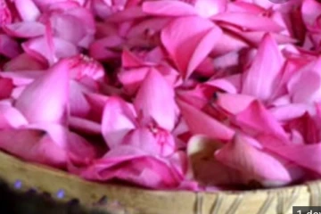 ලංකා ඉතිහාසයේ පළමු වතාවට ලක්ෂ 11ට ගිය මල් වට්ටිය..